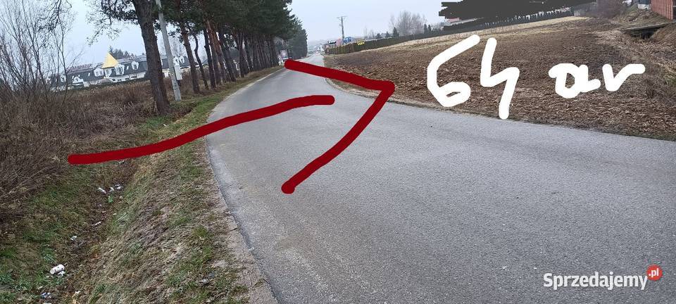 budowlane komercyjne 64000m2 Sprzedaż Dębica