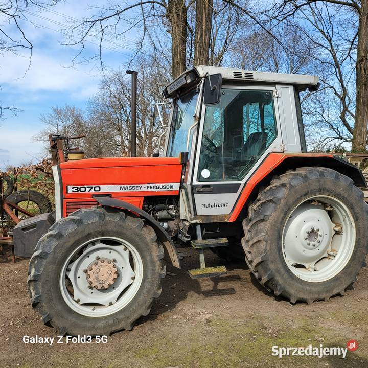 Massey Ferguson Massey Ferguson dolnośląskie Borów