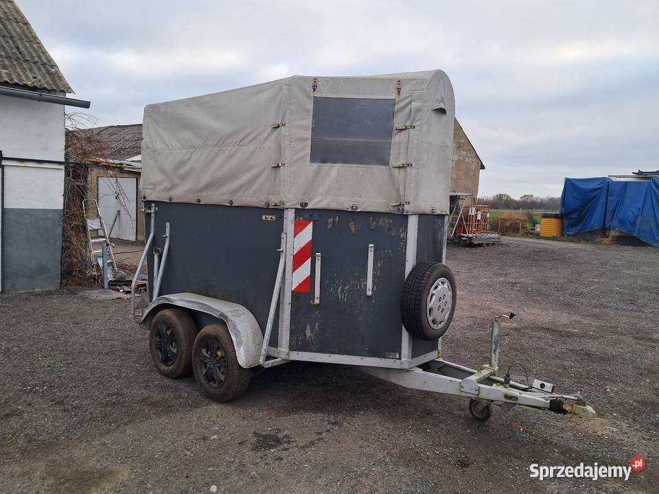 Przyczepa do koni Mogilno