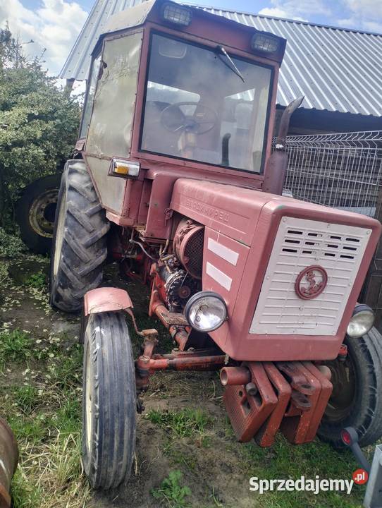 Władymicec t25 lubuskie Gorzów Wielkopolski