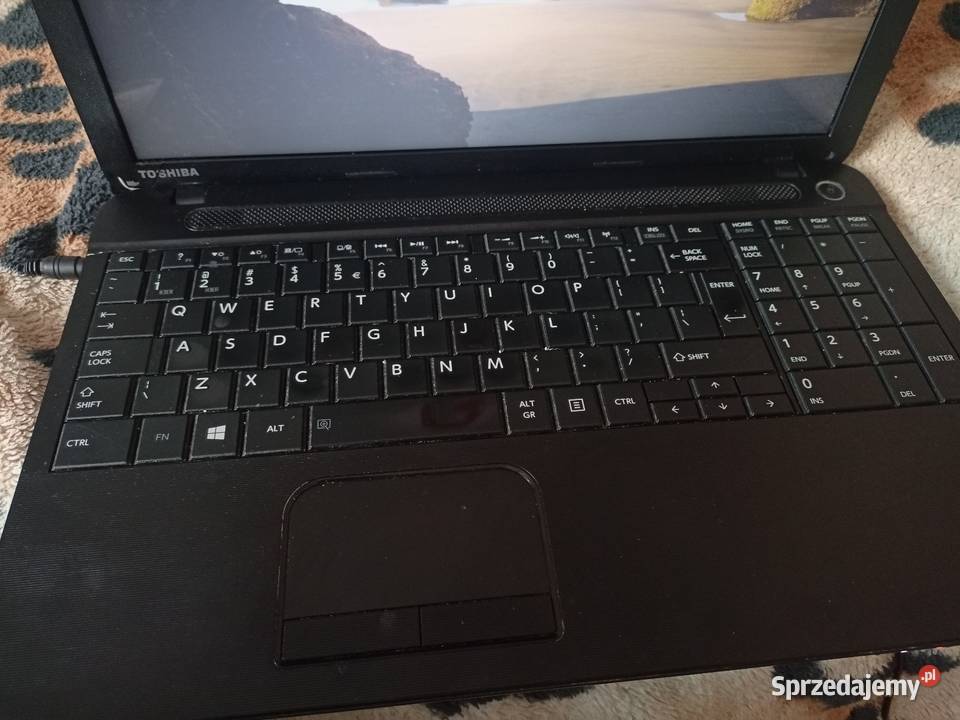 Pakiet laptopów HP Toshiba Lenovo Dell 500 Częstochowa