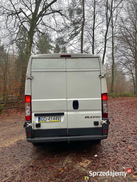 Fiat Ducato 30 AUTOMAT Kartuzy