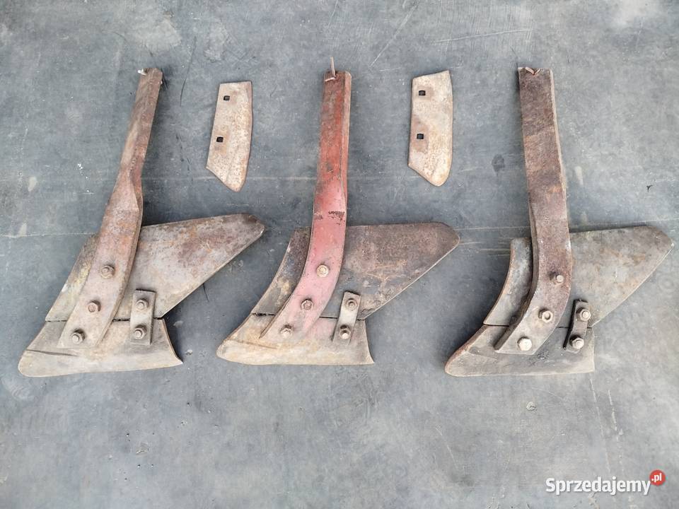 Przedpłużki pługa zagonowego Polskiego