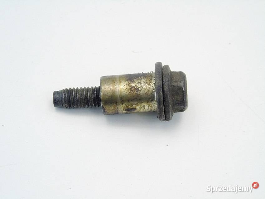 ŚRUBA POKRYWY ZAWORÓW 13 8V FORD FIESTA V VI KA Sosnowiec sprzedam