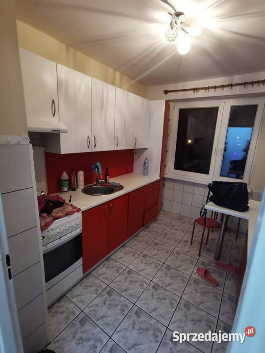 Mieszkanie wynajem 3 Pokoje 60 m2 os Rządz Grudziądz