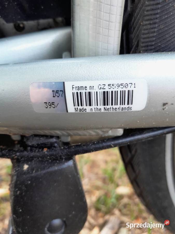 DAMKA GAZELLE Łuków