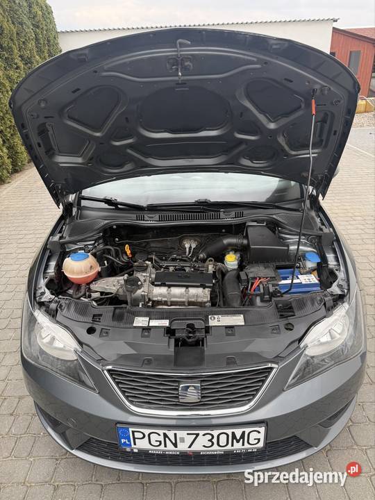 Seat Ibiza garażowany Seat wielkopolskie Witkowo