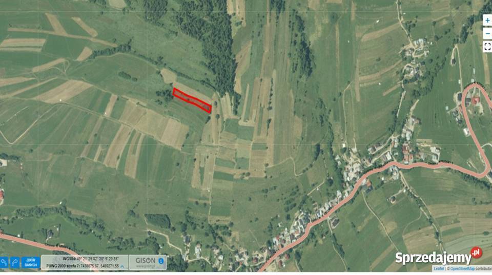 Wynajmę działkę rolną 2400m2 Czarna Góra małopolskie