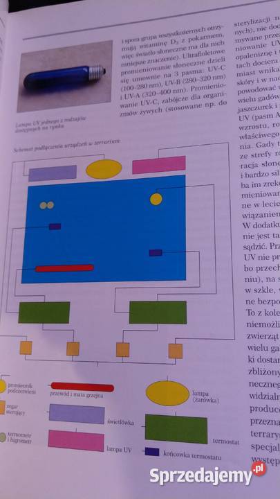 Amatorska Hodowla Gadów ilustrowana encyklopedia Warszawa