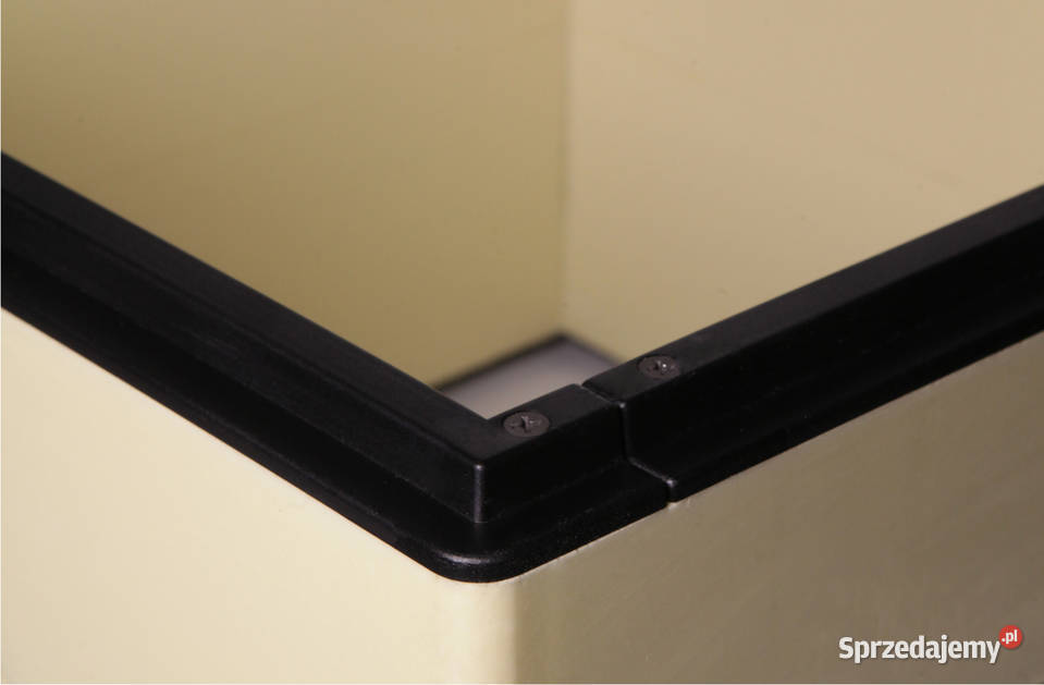 wielkopolski Korpus 11 wielkopolski 10ramkowy Płońsk