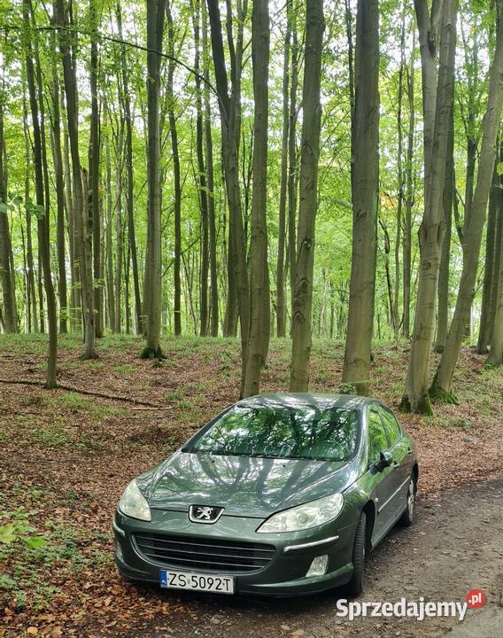 Peugeot 407 20 2007 DT Szczecin