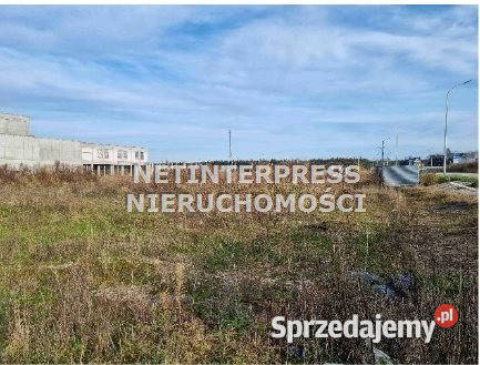 sprzedaży gruntu Nowy Targ 59972 metry sprzedam