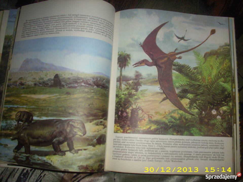 Zanim pojawił się człowiek Goleniów