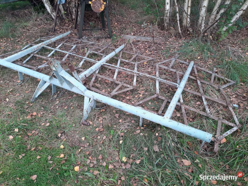 Brony 3 trójki Pozostałe Bucze sprzedam