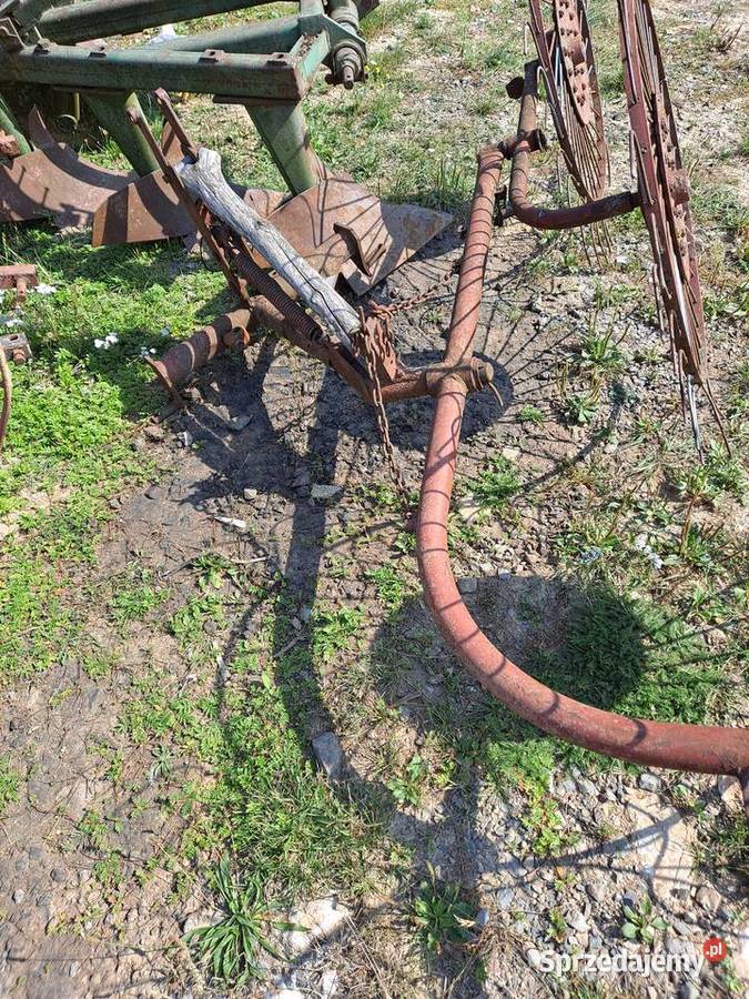 Słoneczko przewracarka Nowa Słupia