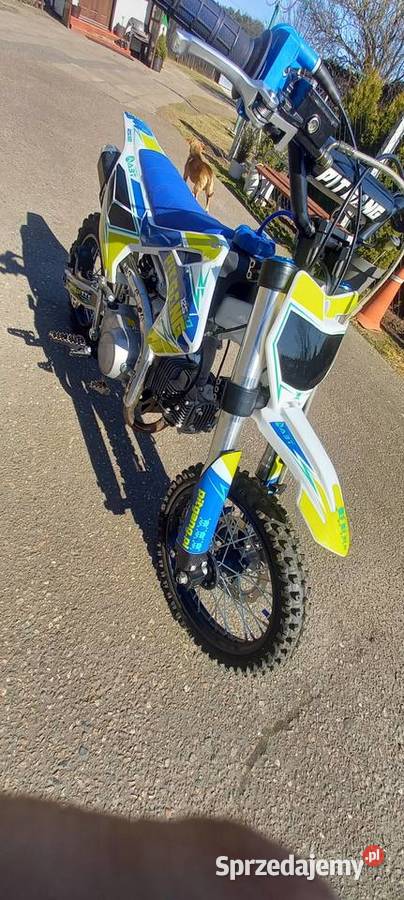 Pitgang 125 xd zachodniopomorskie Sikorki