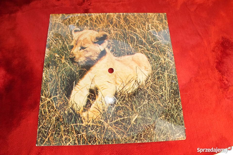 Stara pocztówka dźwiękowa Linda Bella Charlie 1 płyta Żary