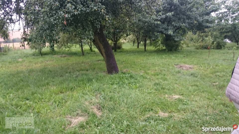 Dom do zamieszkania w okolicy Miechowa Miechów