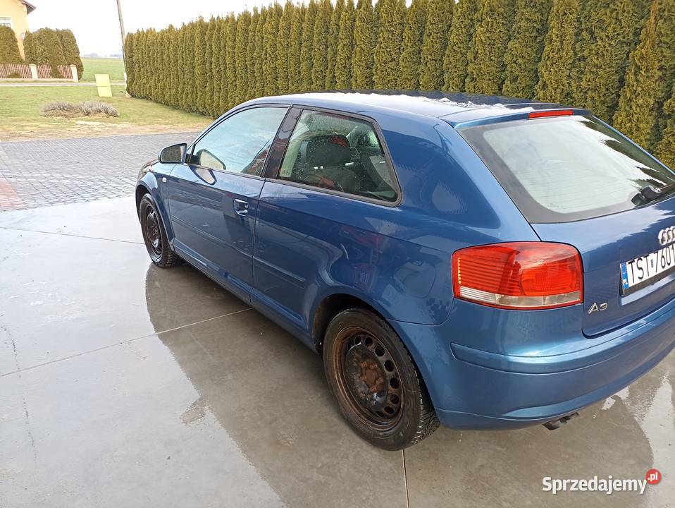 Audi A3 8P 2005 19 TDI BKC Starachowice