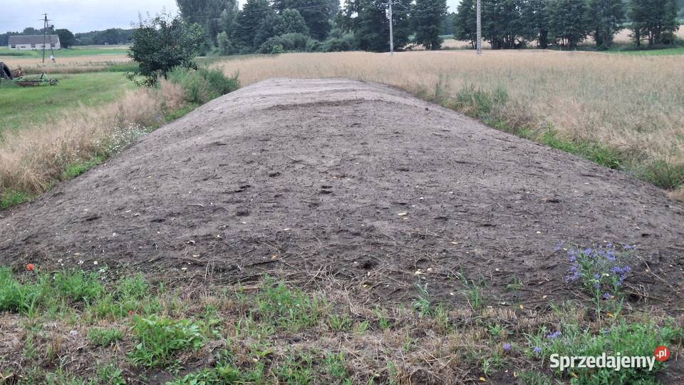 Sprzedam kopiec z kukurydzy kujawsko-pomorskie Piotrków Kujawski