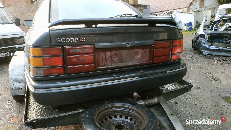 Scorpio klasyk Zielona Góra