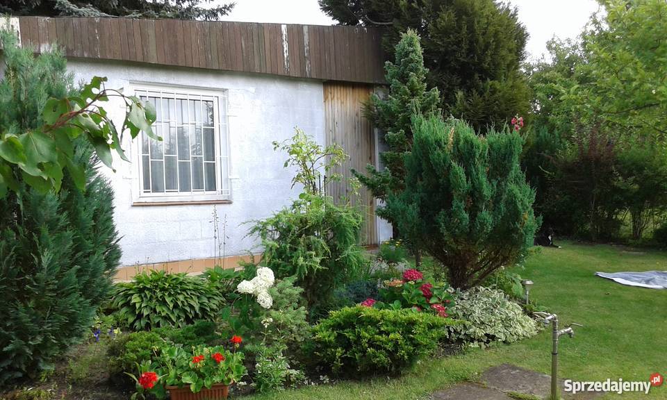 Działka ROD Strzeszyn Poznań