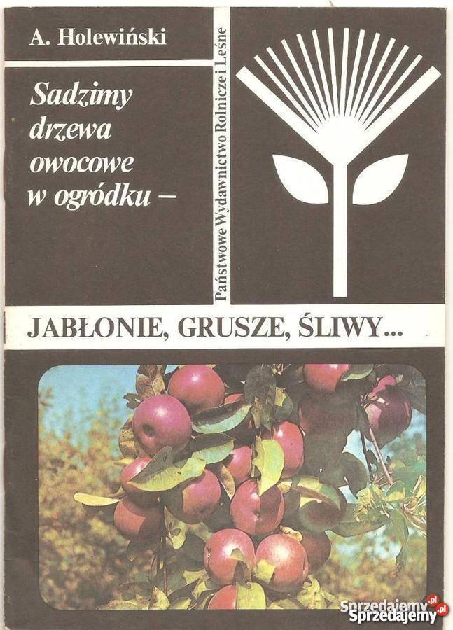 JABŁONIE GRUSZE ŚLIWY A HOLEWIŃSKI Warszawa
