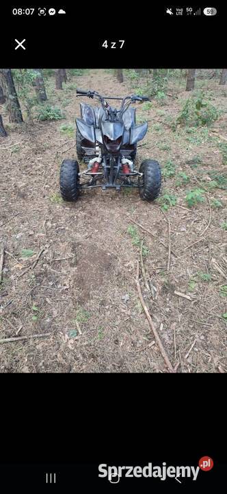 Sprzedam quad bashan 250 Mszczonów sprzedam