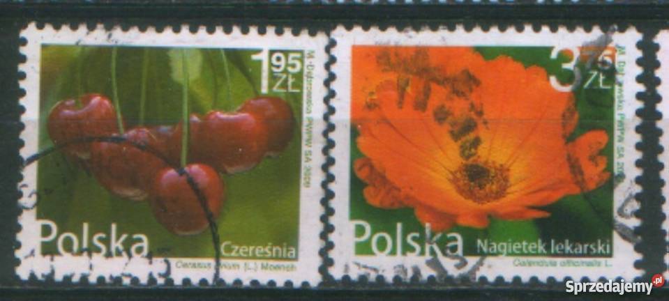 Zn Fi 4288 9 kas 2009 Antyki, Sztuka, Kolekcje śląskie Gliwice