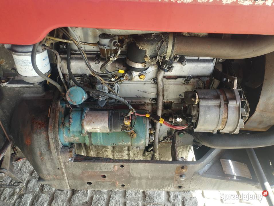 Ciągnik Massey Ferguson MF30 Myślibórz