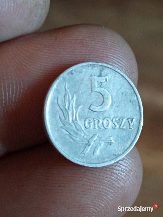 Sprzedam 5 groszy 1958 r bzm Chełm