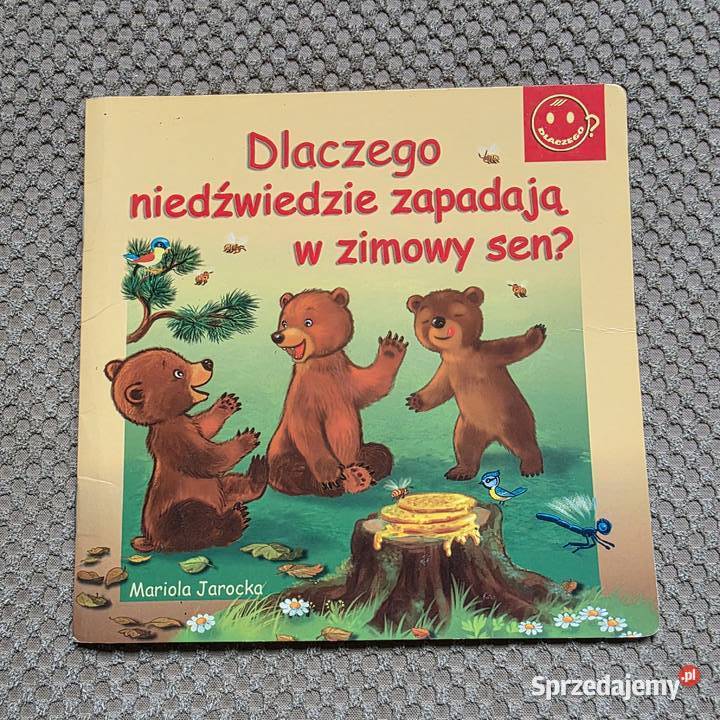 Dlaczego niedźwiedzie zapadają w zimowy sen Książki dla dzieci