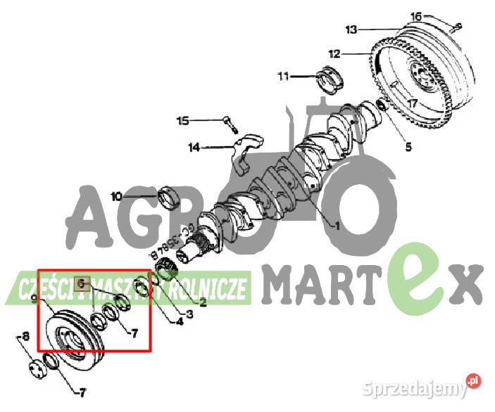 3055152R91 3218394R1 PIERŚCIEŃ CNH Wichrów