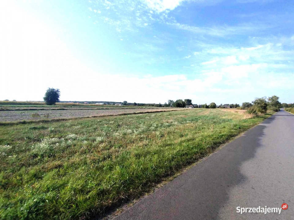 Grunt sprzedam Borków 11200m2 sprzedam