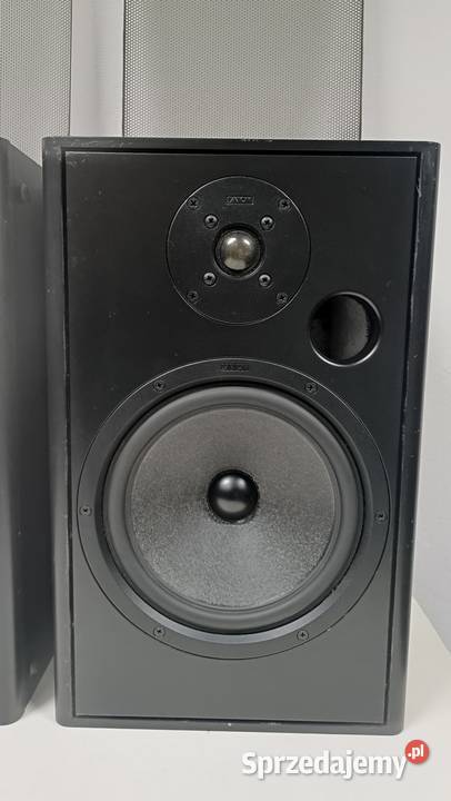 CANTON Fonum 401 wielkopolskie