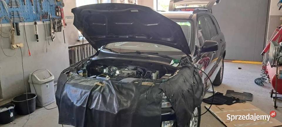 WARSZTAT MAGAZYN USŁUGI Marki