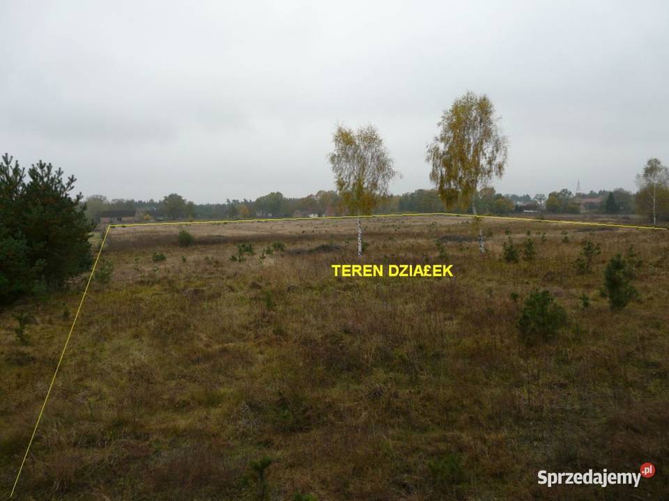 Działka 75 ha sypialnia Gorzów fotowoltaika Maszków