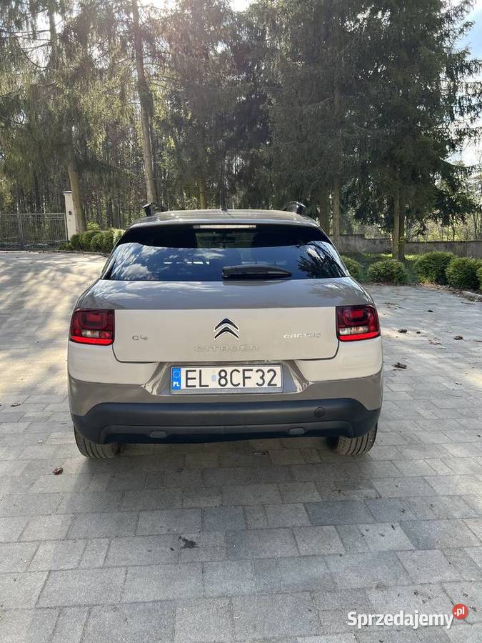 Cotron C4 CACTUS 2015 16 blue HDI automat C4 Cactus Łódź