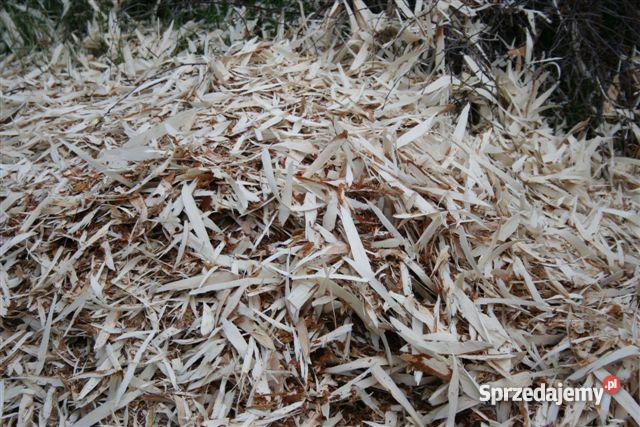 Korowanie drewna produkcja słupków ogrodzeniowyc