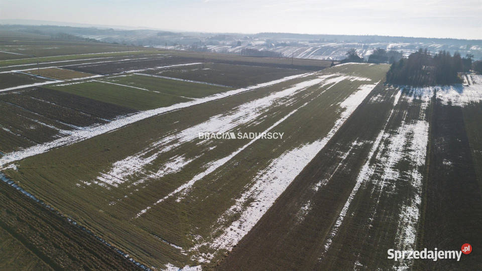 Grunt 15000m2 Gołyszyn kanalizacja