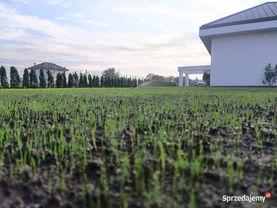 Regeneracja trawników systemy nawadniające Czarna