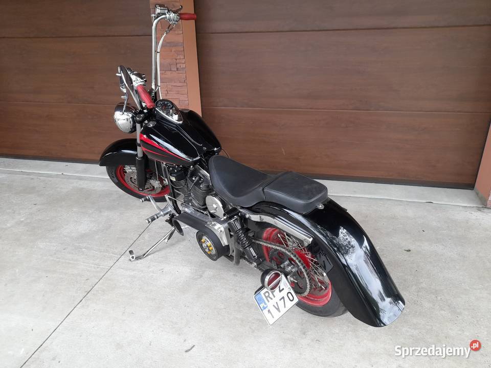 Sucker Lunch Sally Springer Jarosław