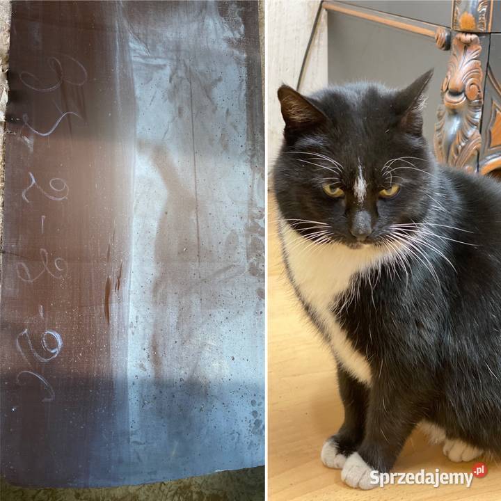 BIBLIOTEKA 2drzwiowa witryna antracyt Louis XV 254cm Warszawa