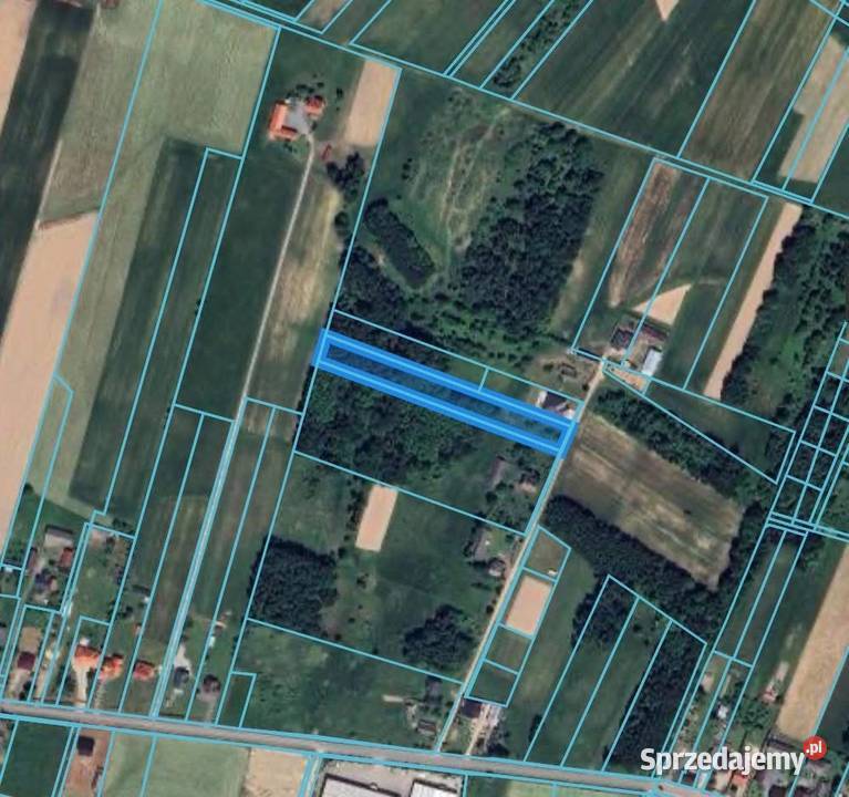 Działka RolnoBudowlana Masłów Pierwszy