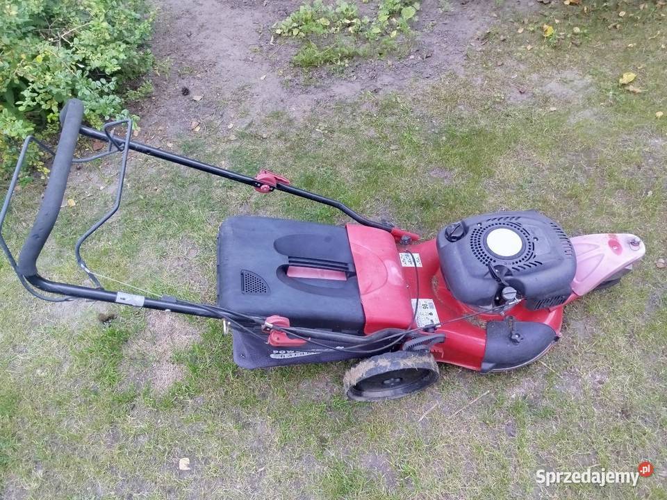 Kosiarka spalinowa 48 Kosiarki spalinowe kujawsko-pomorskie Gniewkowo