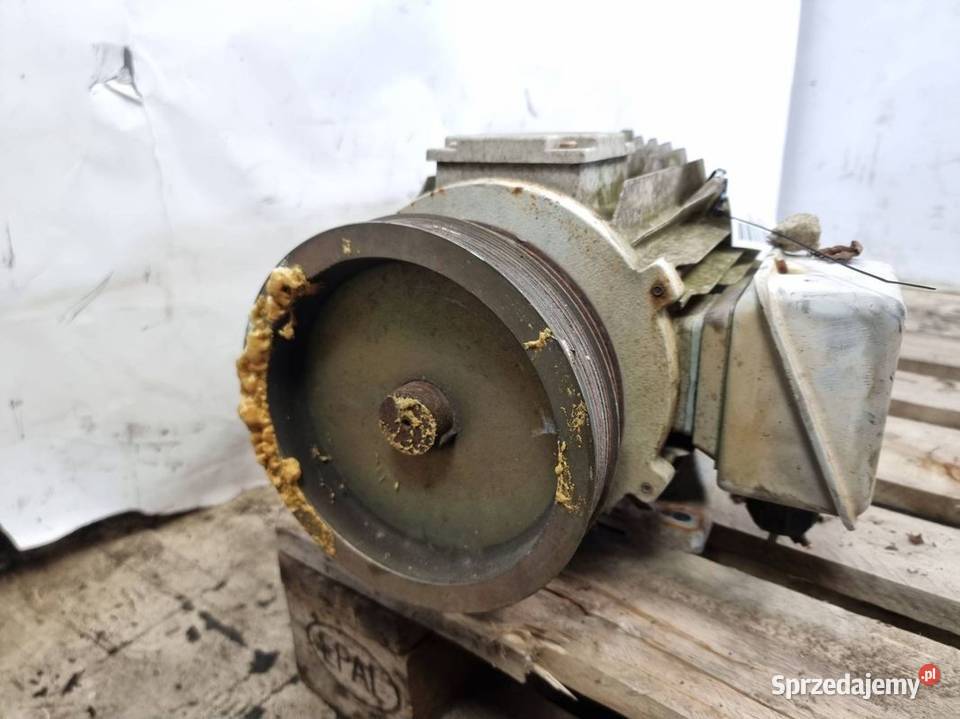 SILNIK ELEKTRYCZNY THERMO KING TS500 osobowe