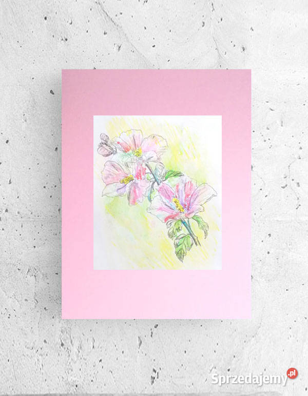 różowy obrazek z kwiatami pastelowy plakat Opole sprzedam