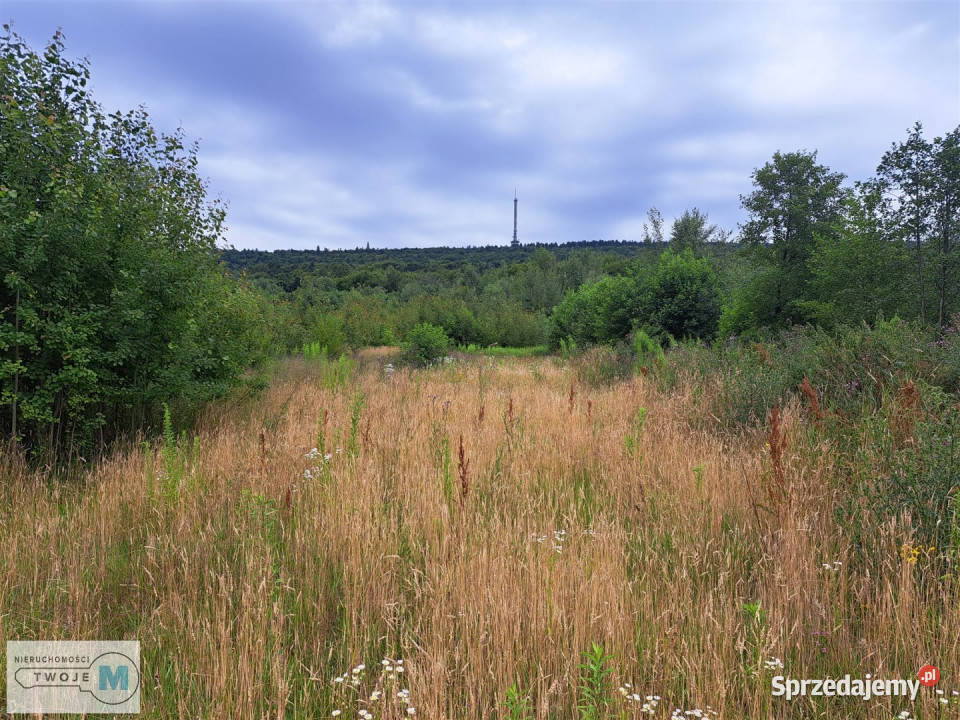 Działka Nowa Słupia 12800m2 siedliskowa sprzedam