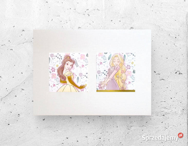 plakat księżniczki disneya plakat z bellą i pomorskie Gdańsk