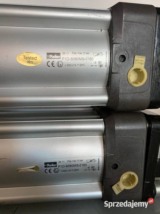 Parker P1DS080MS0160 Pneumatic cylinder